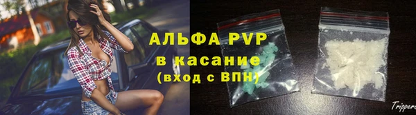 гашик Арсеньев