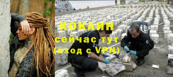 гашик Арсеньев