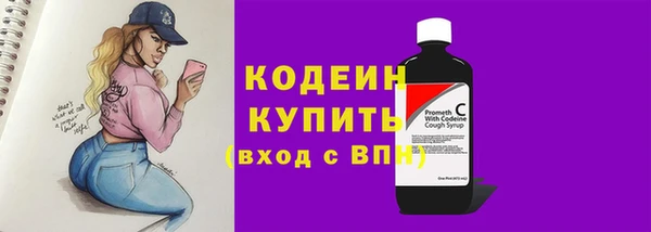 гашик Медвежьегорск