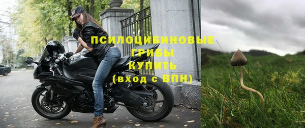 ГАЛЛЮЦИНОГЕННЫЕ ГРИБЫ Новодвинск