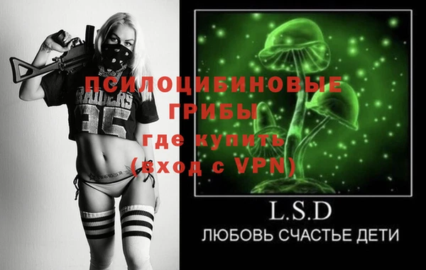гашик Арсеньев