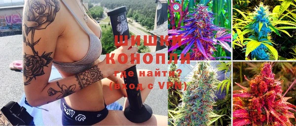 гашик Арсеньев