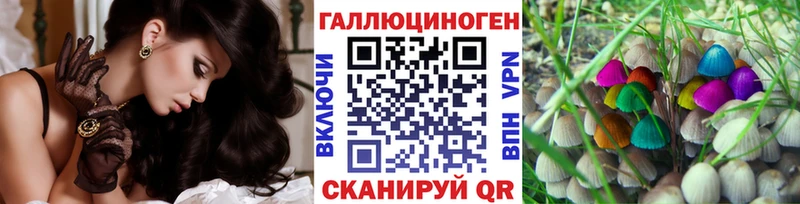 Галлюциногенные грибы Cubensis  закладки  Сегежа 
